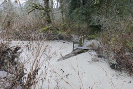 Partially washed out Sitka Spruce creek bridge